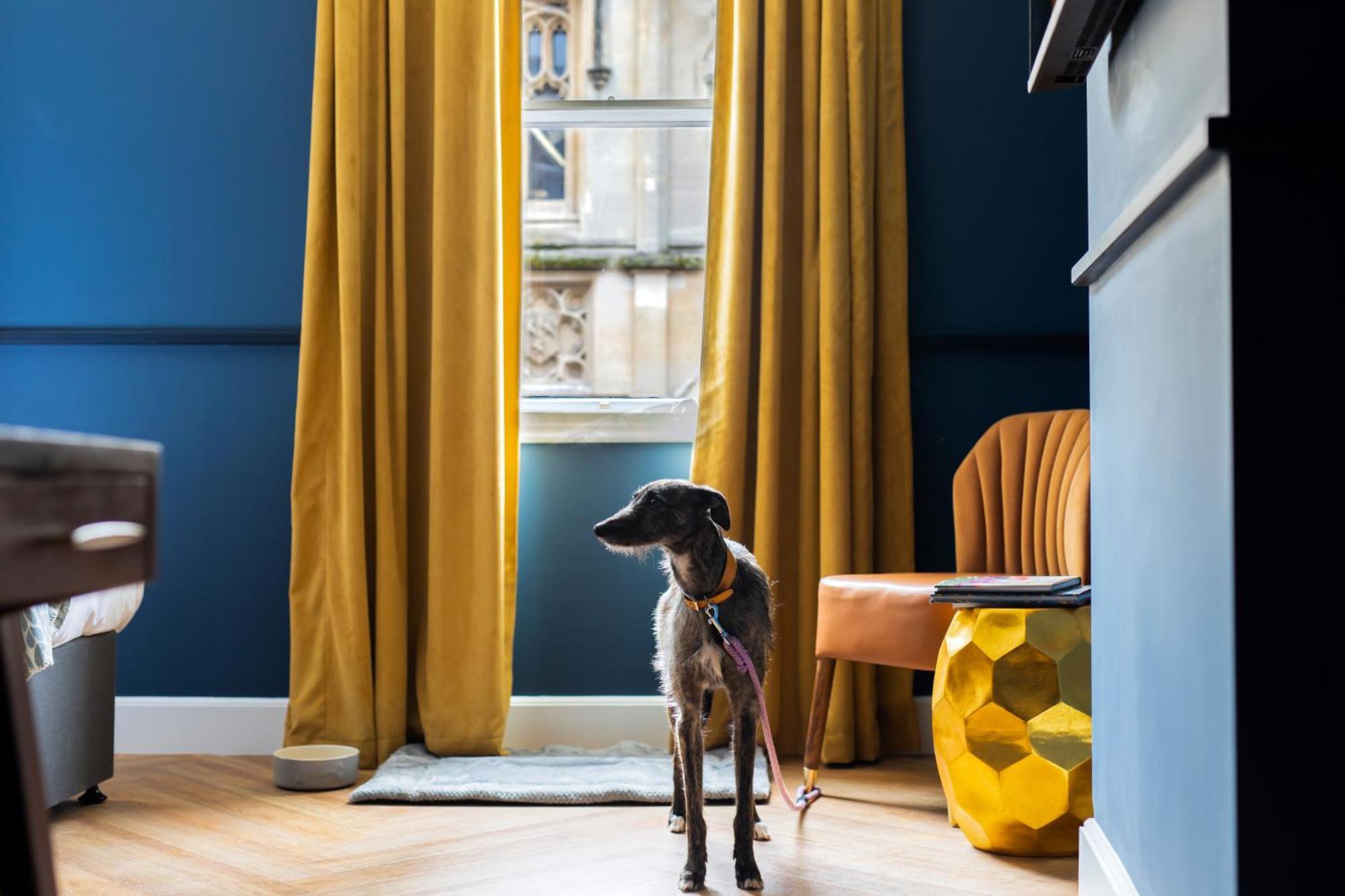 Hort'S Townhouse Bristol Exterior foto